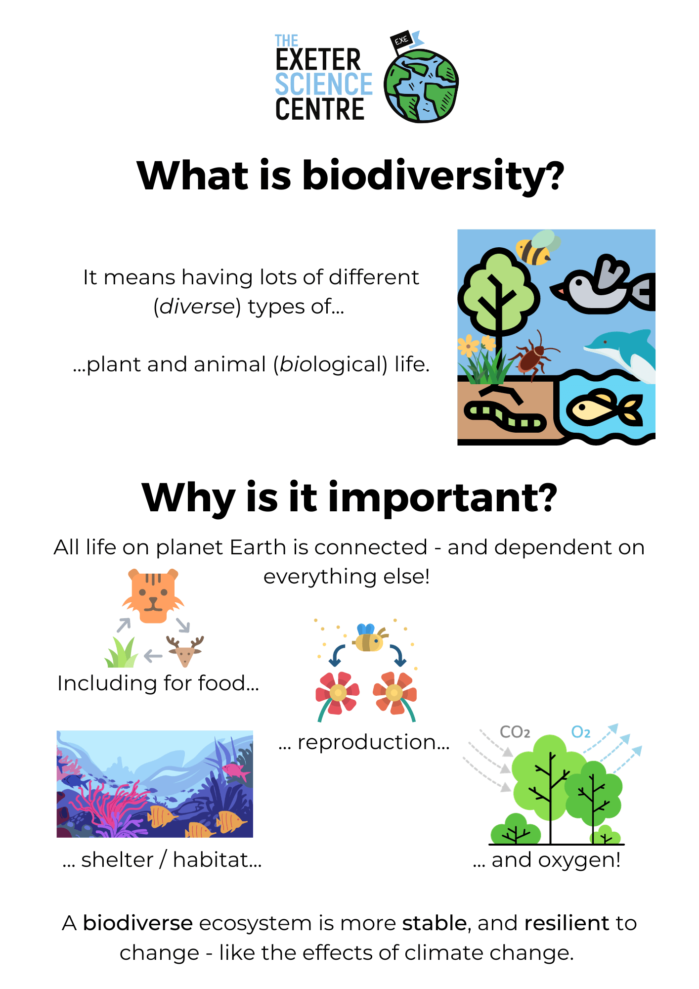 What is biodiversity? It means having lots of different (diverse) types of plant and animal (biological) life. Why is it important? All life on planet Earth is connected - and dependent on everything else! Including for food... reproduction... shelter/habitat... and oxygen! A biodiverse ecosystem is more stable and resilient to change - like the effects of climate change.
