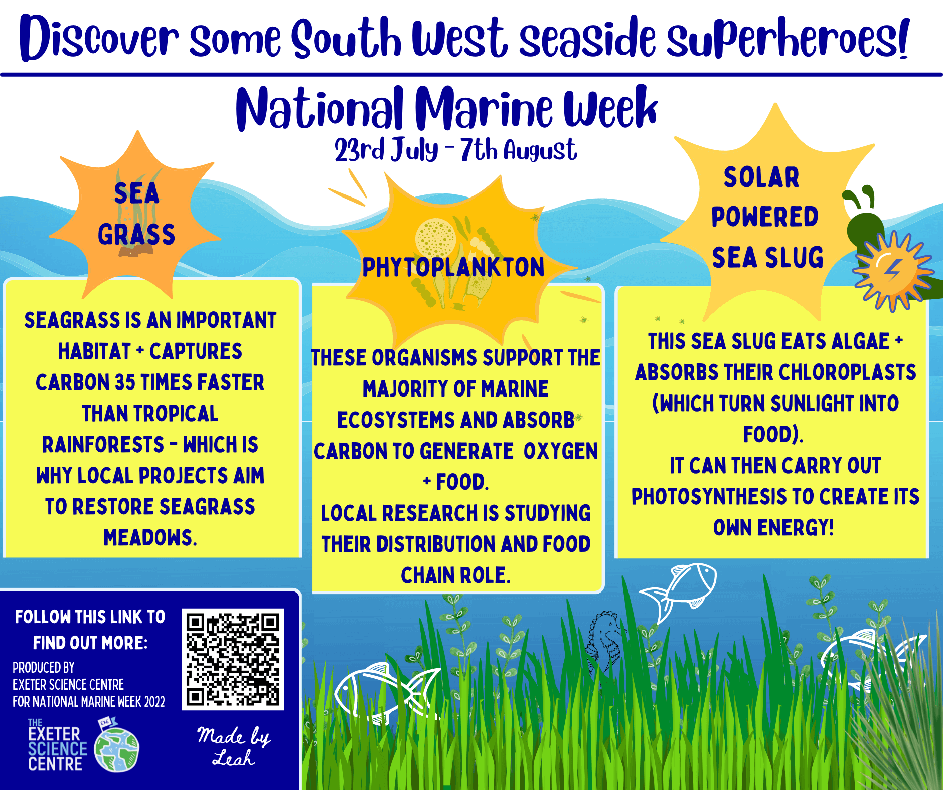 This vibrant infographic celebrates "South West Seaside Superheroes" for National Marine Week, from July 23rd to August 7th. It highlights three key marine organisms: Seagrass, Phytoplankton, and a solar-powered Sea Slug.