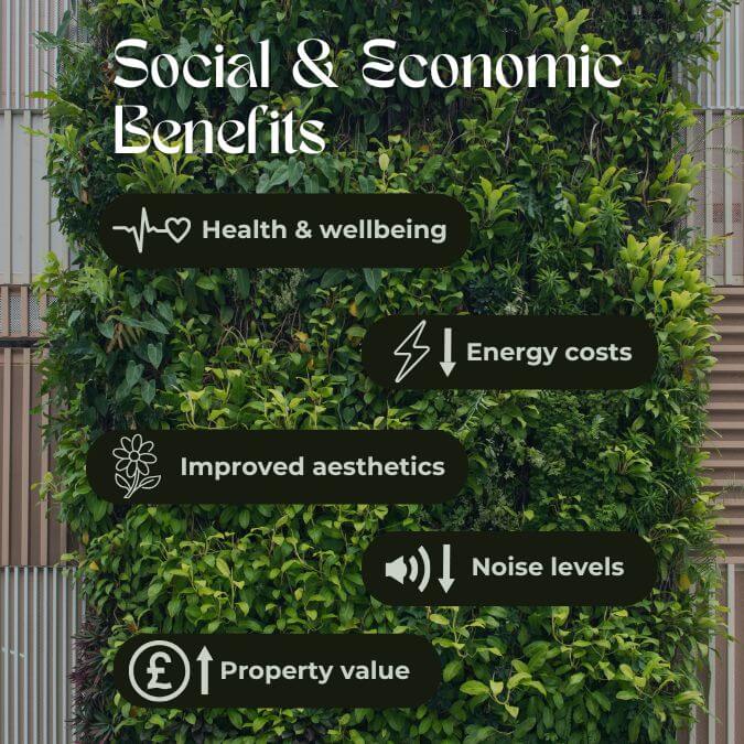 Social & economic benefits: Health and wellbeing, lowered energy costs, improved aesthetics, lowered noise levels, increased property value. Text and icons set against a background of a living wall with striped wood beams in the background. 