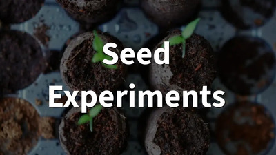 seed experiments