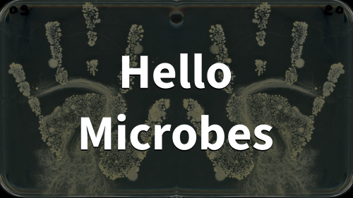 Hello microbes