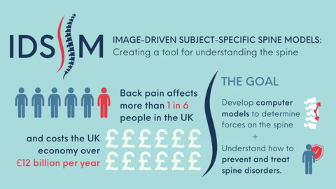 image-driven subject-specific spine models: creating a tool for understanding the spine. Back pain affects more than 1 in 6 people in the UK adn costs the UK economy over £12 billion per year. The goal: develop computer models to determine forces on the spine + understand how to prevent and treat spine disorders