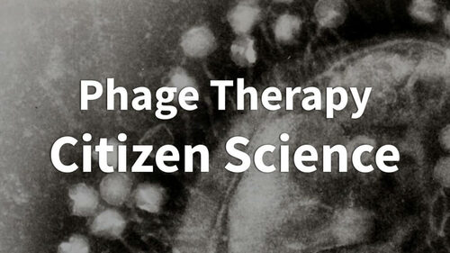 phage therapy citizen science