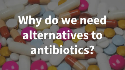 Why do we need alternatives to antibiotics?