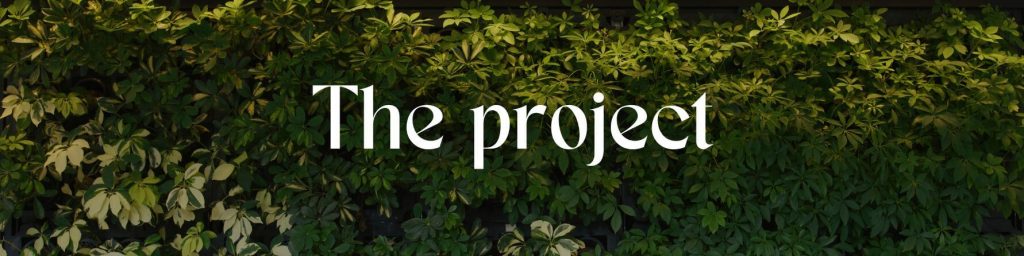 The project